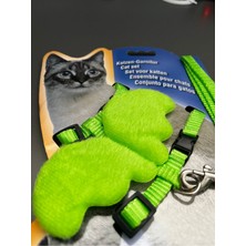 Özbience Renkli Kedi Göğüs Tasması ve Gezdirme Ipi Takımı, Ayarlanabilir, Konforlu
