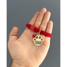 Özbience Isme Özel Pati Künye Paslanmaz Metal Kedi Tasması