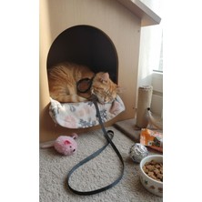 Özbience Konforlu ve Şık Kedi Tasması Takımı ile Güvenle Gezdirin