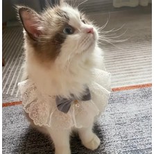 Özbience Şık Örgü Kedi Tasması Püsküllü ve Dantelli Ayarlanabilir Boyun Takısı