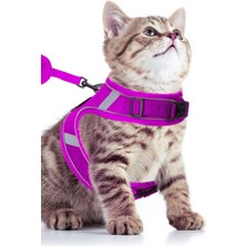 Özbience Mor Kedi Tasması ve Uzun Sevk Kayışlı Göğüs Gezdirme Seti, M Beden