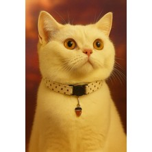 Özbience Krem Puantiyeli Kedi Tasması, Ayarlanabilir Güvenlik Tokası ve Charm Süs