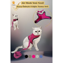 Özbience Hafif ve Konforlu Air Mesh Kedi Köpek Göğüs Tasma Seti
