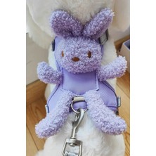 Özbience Mor ve Gri Renk Ayıcık Figürlü Bel ve Göğüs Ayarlanabilir Tasma