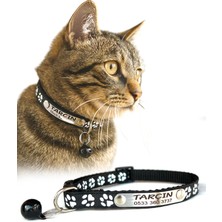 Özbience Renkli ve Dayanıklı Kedi Tasması Sabit Künyeli, Güvenli ve Şık Tasarım