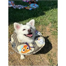 Özbience Yumuşak Özel Kumaş Kedi ve Köpek Boyunluk, Rahat ve Şık Tasarım