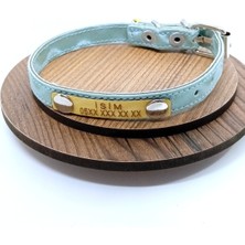 Özbience Şık ve Dayanıklı Suni Deri Tasma, Evcil Hayvanlar Için Mükemmel Seçim