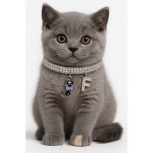 Özbience Şık Taşlı Kedi Tasma Kolye, Özel Harfli Aksesuar Seçenekleri