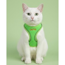 Özbience Kişiye Özel Esnek Kedi Göğüs Tasması, Rahat ve Şık Tasarım