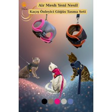 Özbience Nefes Alan Air Mesh Kedi Köpek Göğüs Tasma Seti, Konfor ve Güvenlik