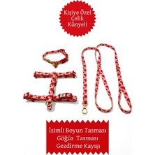 Özbience Renkli ve Konforlu Kedi Tasması Seti, Güvenli ve Şık Tasarım