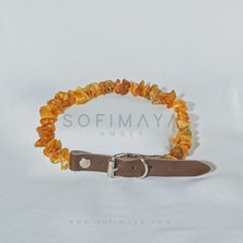 Özbience Doğal Kehribar Pire ve Kene Tasması, 30-35 Cm, Güçlü Koruma