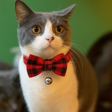 Özbience Ekoseli Fiyonklu Kedi Tasması, Çıngıraklı, Ayarlanabilir, Güvenlik Tokalı