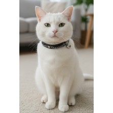 Özbience Ayarlanabilir Siyah Deri ve Zincirli Kedi Kolyesi, Sesli ve Şık Tasarım