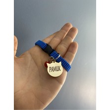 Özbience Paslanmaz Metal Kedi Tasması ve Boyunluğu, Şık ve Güvenli Tasarım