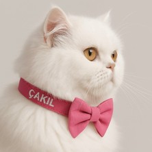 Özbience Sevimli Papyonlu Kedi Boyun Tasması, Şık ve Rahat Kullanım