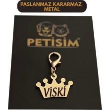 Özbience Paslanmaz Metal Kedi Isimliği ve Tasması, Şık ve Güvenli Tasarım