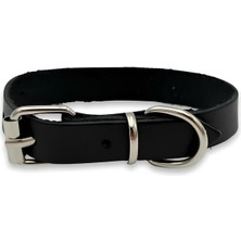 Özbience Siyah Gerçek Deri Kedi Tasması, Dayanıklı ve Şık Tasarım