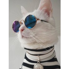 Özbience Şirin Mavi Kedi Gözlükleri 7 Cm, Eğlenceli ve Renkli Tasarım