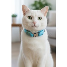 Özbience Turkuaz Renkli Ayarlanabilir Kedi Tasma ve Floş Ip ile Şık Tasarım