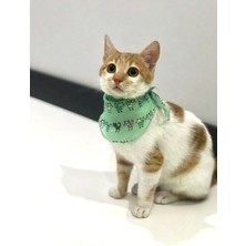 Özbience Su Yeşili Kedi Tasması ve Fular, Ayarlanabilir, Desenli, Her Beden Uyumlu