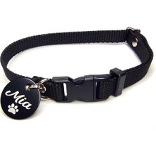 Özbience Renkli Kedi Tasması ve Isimlik, Şık ve Sevimli Kedi Madalyonu