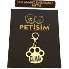 Özbience Paslanmaz Çelik Kedi Tasması ve Künye, Güvenli ve Şık Tasarım