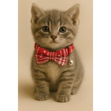 Özbience Renkli Pamuklu Şık Kedi Tasması, Ayarlanabilir, Güvenli ve Kırılmaz