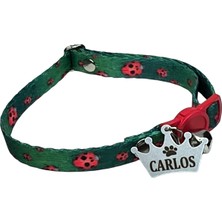 Özbience Paslanmaz Çelik Kedi Boyun Tasması, Güvenlik Kilitli, Kral Tacı ve Künye ile