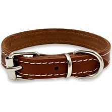 Özbience Doğal Deri Kedi Boyun Tasması, Güçlü ve Şık Tasarım