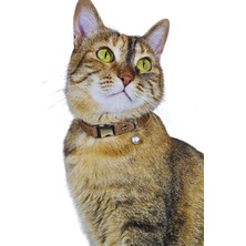 Özbience Ayarlanabilir Sesli Zilli Kedi Boyun Tasması, 14 Renk Seçeneği