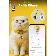 Özbience Kedi Için Akıllı Nfc Dijital Künye, Qr Kodlu Paslanmaz Çelik Tasma