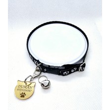 Özbience Kişiye Özel Isimli Kedi Tasması ve Künye Seti, Güvenli ve Şık Tasarım