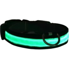 Özbience Işıklı Ayarlanabilir Köpek ve Kedi Boyun Tasması, Pembe, 40-48 Cm, 2.5 cm