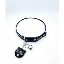 Özbience Kişiye Özel Isimli Kedi Tasması ve Künye Seti, Şık ve Güvenli Tasarım