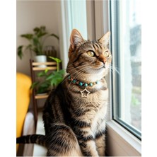 Özbience El Yapımı Firuze Taşlı Yıldız Charm’lı Kedi & Köpek Tasmaları