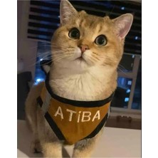 Özbience Renkli Kedi Köpek Göğüs Tasma Seti, Güvenli ve Rahat Kullanım