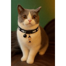 Özbience Ayarlanabilir Siyah Kedi Tasması, Kılçık Desenli ve Çantalı Güvenlik Tokası