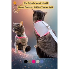 Özbience Nefes Alan Air Mesh Kedi Köpek Göğüs Tasma Seti, Konfor ve Güvenlik