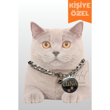 Özbience Şık ve Dayanıklı Paslanmaz Çelik Kedi ve Köpek Kolyesi