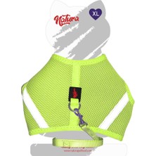 Özbience Neon Lime Kedi Bel Tasması, Rahat ve Şık Tasarım, Xl Beden