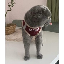 Özbience Yumuşak ve Rahat Köpek ve Kedi Göğüs Tasma Seti, Güvenli ve Şık Tasarım