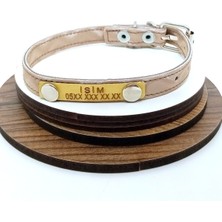 Özbience Şık ve Dayanıklı Suni Deri Köpek Tasması, Konforlu Kullanım Sağlar