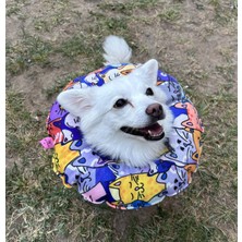 Özbience Renkli Kedi ve Köpek Boyunlukları, Yumuşak ve Konforlu Tasarım