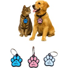 Özbience Akıllı Qr ve Nfc Destekli Kedi Köpek Künyesi, Güvenli Takip Çözümü