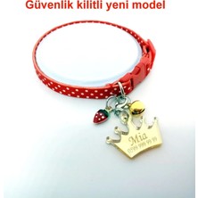 Özbience Renkli Güvenlikli Kedi Tasması ve Isimlik Seti
