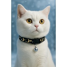 Özbience Siyah Ay Yıldız Kedi Tasması, Çıngıraklı, Ayarlanabilir ve Güvenlik Tokalı