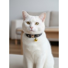 Özbience Ayarlanabilir Hakiki Deri Kedi Kolyesi, Koyu Antrasit, Sesli Zilli