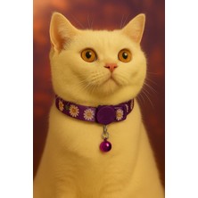 Özbience Mor Kedi Tasması, Çiçek Desenli, Güvenlik Tokalı ve Hediye Çantasıyla