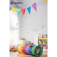 Özbience Katlanabilir Gökkuşağı Renkli Kedi ve Köpek Oyun Tüneli